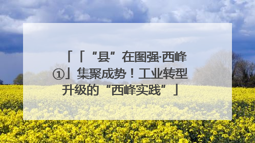 「“县”在图强·西峰①」集聚成势！工业转型升级的“西峰实践”