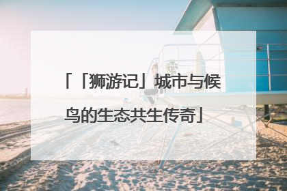 「狮游记」城市与候鸟的生态共生传奇