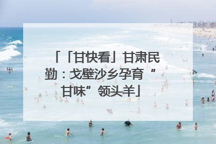 「甘快看」甘肃民勤：戈壁沙乡孕育“甘味”领头羊