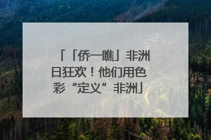 「侨一瞧」非洲日狂欢！他们用色彩“定义”非洲