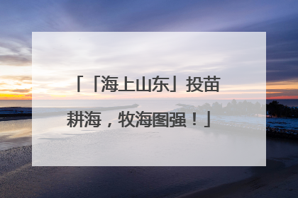 「海上山东」投苗耕海，牧海图强！