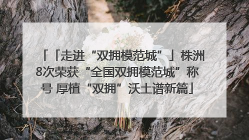 「走进“双拥模范城”」株洲8次荣获“全国双拥模范城”称号 厚植“双拥”沃土谱新篇
