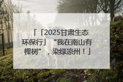 「2025甘肃生态环保行」“我在南山有棵树”，染绿凉州！