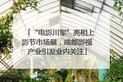 “电影川军”亮相上影节市场展，成都影视产业引发业内关注