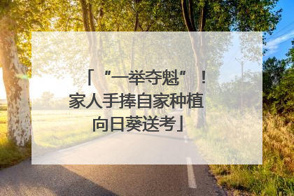 “一举夺魁”！家人手捧自家种植向日葵送考