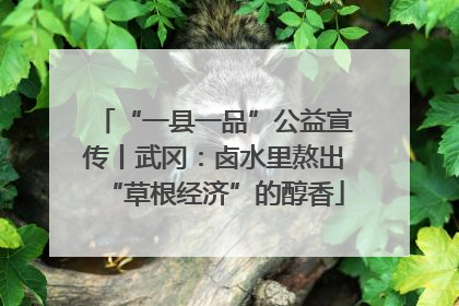“一县一品”公益宣传丨武冈：卤水里熬出“草根经济”的醇香