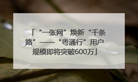“一张网”焕新“千条路”——“粤通行”用户规模即将突破600万