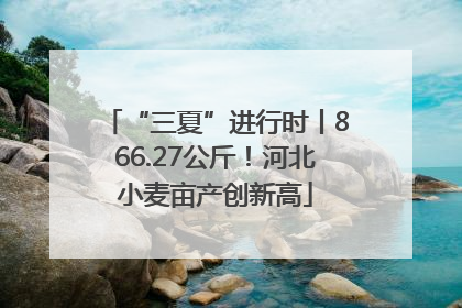 “三夏”进行时丨866.27公斤！河北小麦亩产创新高