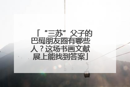 “三苏”父子的巴蜀朋友圈有哪些人？这场书画文献展上能找到答案