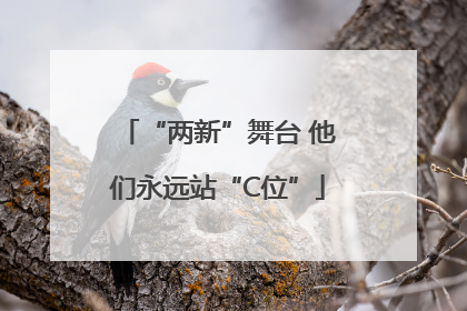 “两新”舞台 他们永远站“C位”