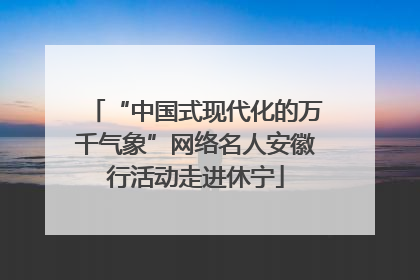 “中国式现代化的万千气象”网络名人安徽行活动走进休宁