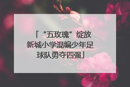 “五玫瑰”绽放 新城小学混编少年足球队勇夺四强
