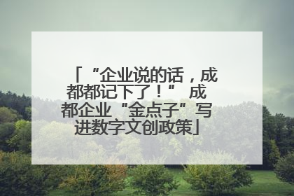 “企业说的话，成都都记下了！” 成都企业“金点子”写进数字文创政策