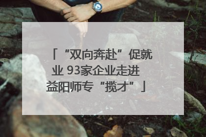“双向奔赴”促就业 93家企业走进益阳师专“揽才”