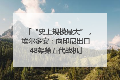 “史上规模最大”，埃尔多安：向印尼出口48架第五代战机