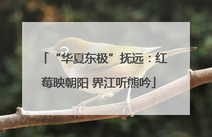 “华夏东极”抚远：红莓映朝阳 界江听熊吟