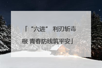“六进” 利刃斩毒根 青春防线筑平安