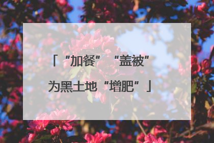 “加餐”“盖被” 为黑土地“增肥”
