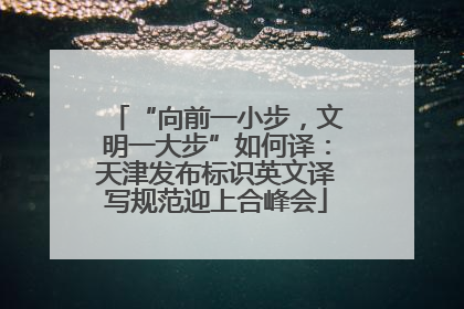 “向前一小步，文明一大步”如何译：天津发布标识英文译写规范迎上合峰会