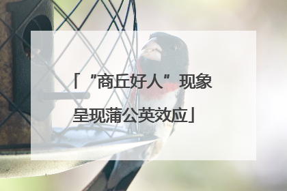 “商丘好人”现象呈现蒲公英效应