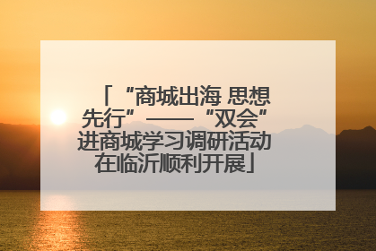 “商城出海 思想先行”——“双会”进商城学习调研活动在临沂顺利开展