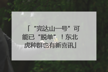 “完达山一号”可能已“脱单”！东北虎种群也有新喜讯