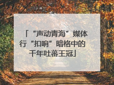 “声动青海”媒体行“扣响”暗格中的千年吐蕃王冠