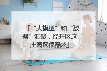 “大模型”和“数据”汇聚，经开区这座园区很酷炫