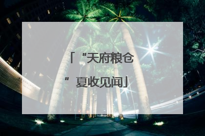 “天府粮仓”夏收见闻