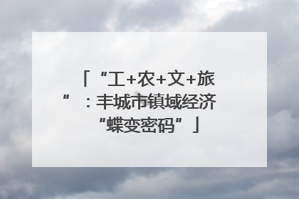 “工+农+文+旅”：丰城市镇域经济“蝶变密码”