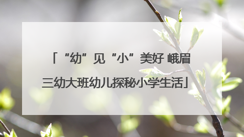 “幼”见“小”美好 峨眉三幼大班幼儿探秘小学生活