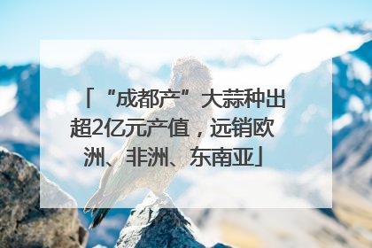 “成都产”大蒜种出超2亿元产值，远销欧洲、非洲、东南亚