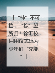 “柿”不可挡，“粽”望所归！徐汇校园用仪式感为少年们“充能”