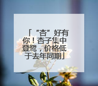 “杏”好有你！杏子集中登鹭，价格低于去年同期