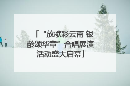 “放歌彩云南 银龄颂华章”合唱展演活动盛大启幕