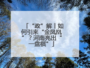 “政”解丨如何引来“金凤凰”？河南亮出“一盘棋”