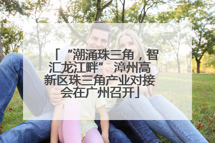 “潮涌珠三角，智汇龙江畔” 漳州高新区珠三角产业对接会在广州召开
