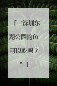 “深圳东湖公园的鱼可以吃吗？”