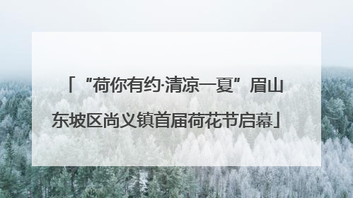 “荷你有约·清凉一夏”眉山东坡区尚义镇首届荷花节启幕