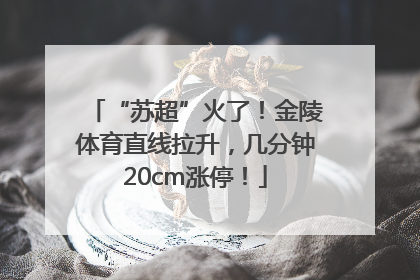 “苏超”火了！金陵体育直线拉升，几分钟20cm涨停！
