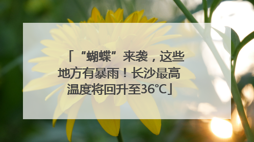 “蝴蝶”来袭，这些地方有暴雨！长沙最高温度将回升至36℃