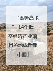 “蓄势高飞” 14个低空经济产业项目落地成都都市圈