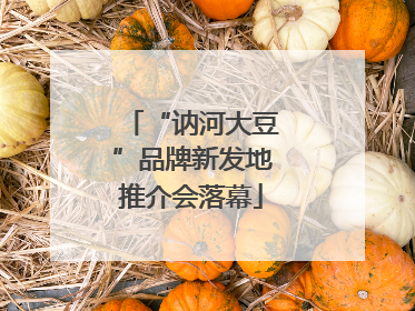 “讷河大豆”品牌新发地推介会落幕