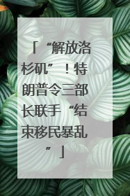“解放洛杉矶”！特朗普令三部长联手“结束移民暴乱”