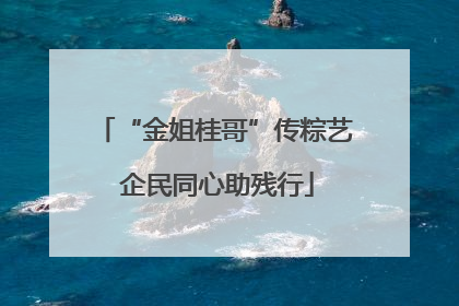 “金姐桂哥”传粽艺 企民同心助残行