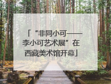 “非同小可——李小可艺术展”在西藏美术馆开幕