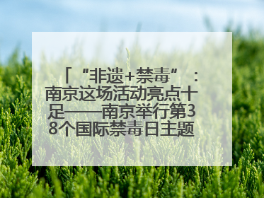 “非遗+禁毒”：南京这场活动亮点十足——南京举行第38个国际禁毒日主题宣传活动