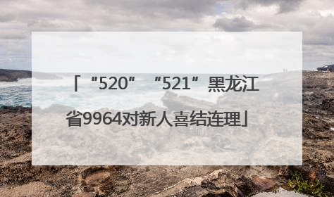 “520”“521”黑龙江省9964对新人喜结连理