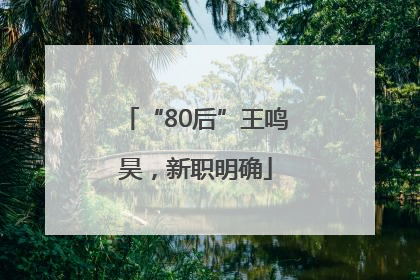 “80后”王鸣昊，新职明确