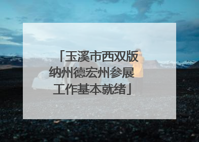 玉溪市西双版纳州德宏州参展工作基本就绪